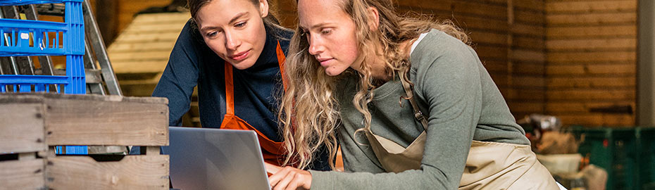 Online Banking Firmenkunden Raiffeisenbank Chamer Land Eg